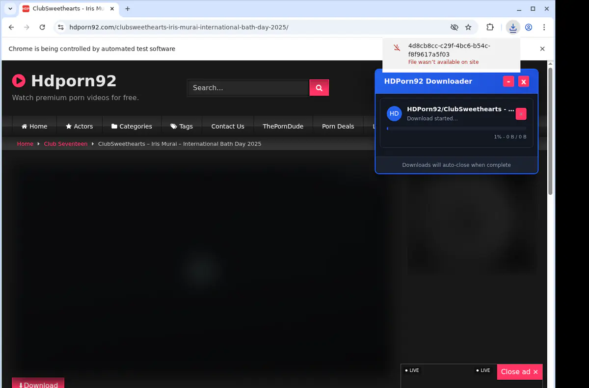 Hdporn92 Video Downloader browser extension screenshot 2