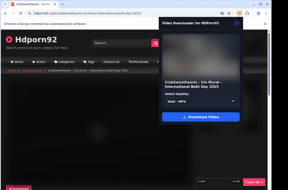 Hdporn92 Video Downloader browser extension screenshot 3
